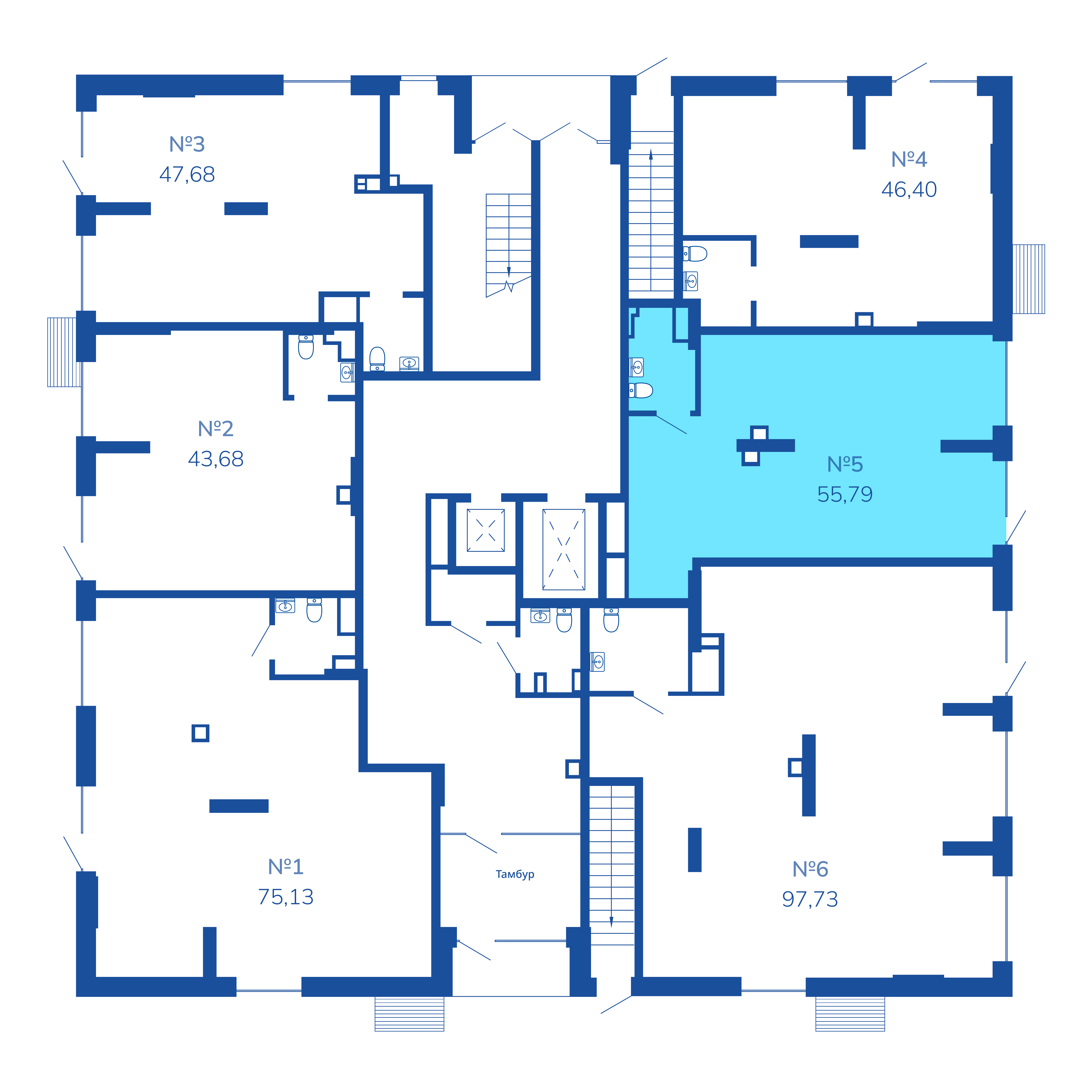 №5