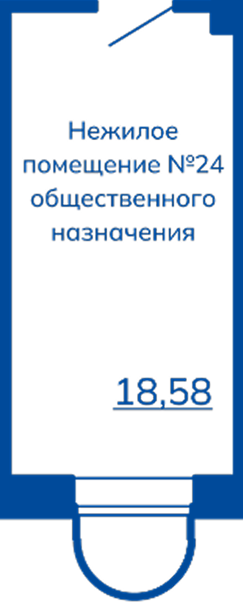№24
