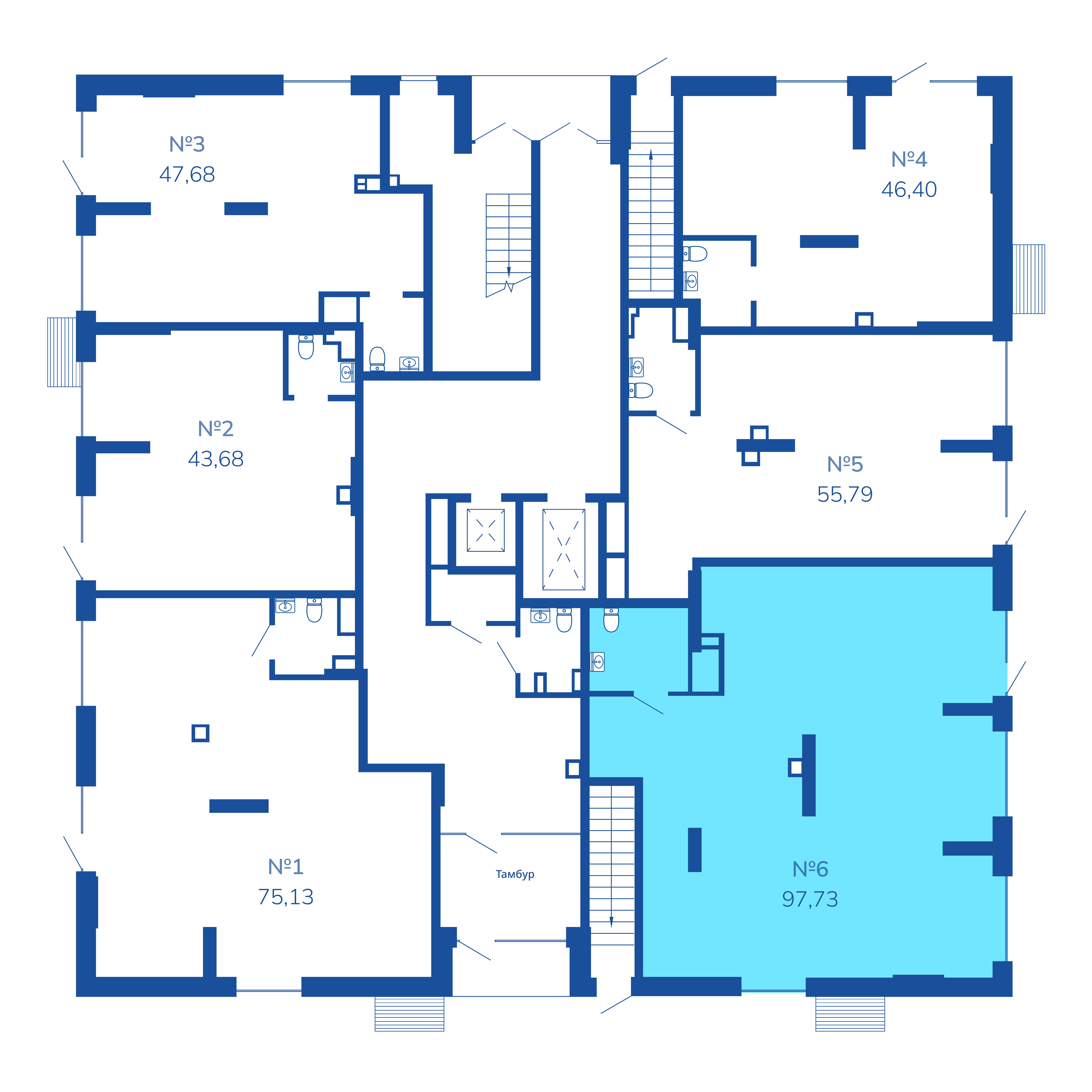 №6